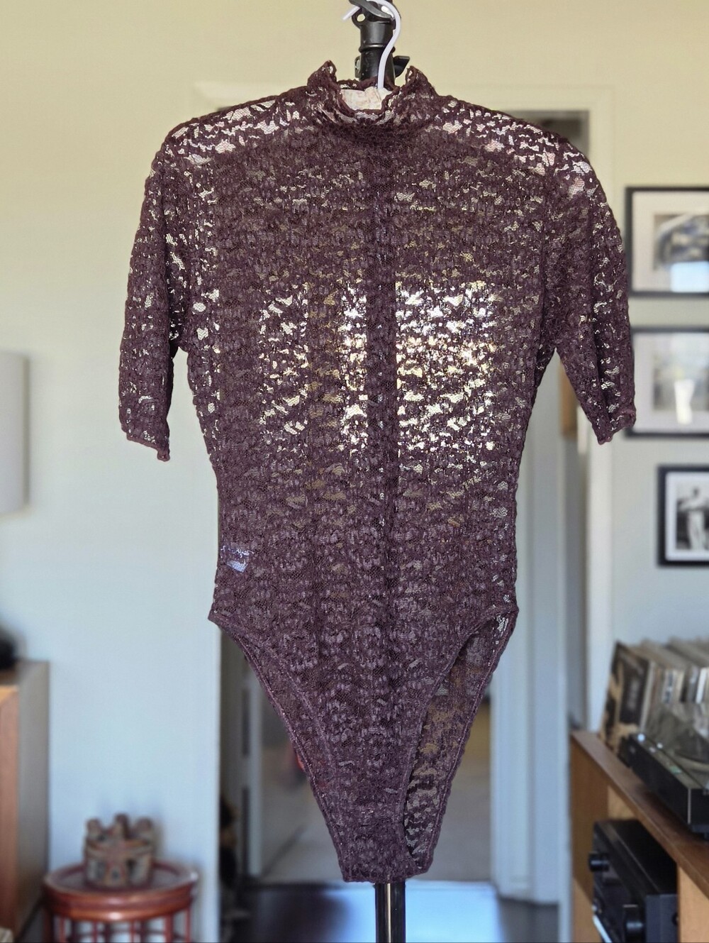 Sheer Lace Embroidered Short Sleeve Bodysuit in Deep Plum / Chocolate Brown